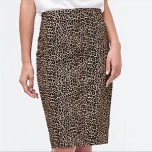 J.Crew NWT Leopard Print Knee Length High Waist Pencil Skirt Size 6